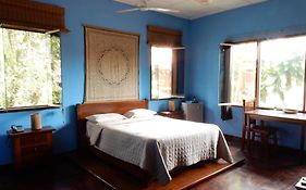 La Casa Fitzcarraldo